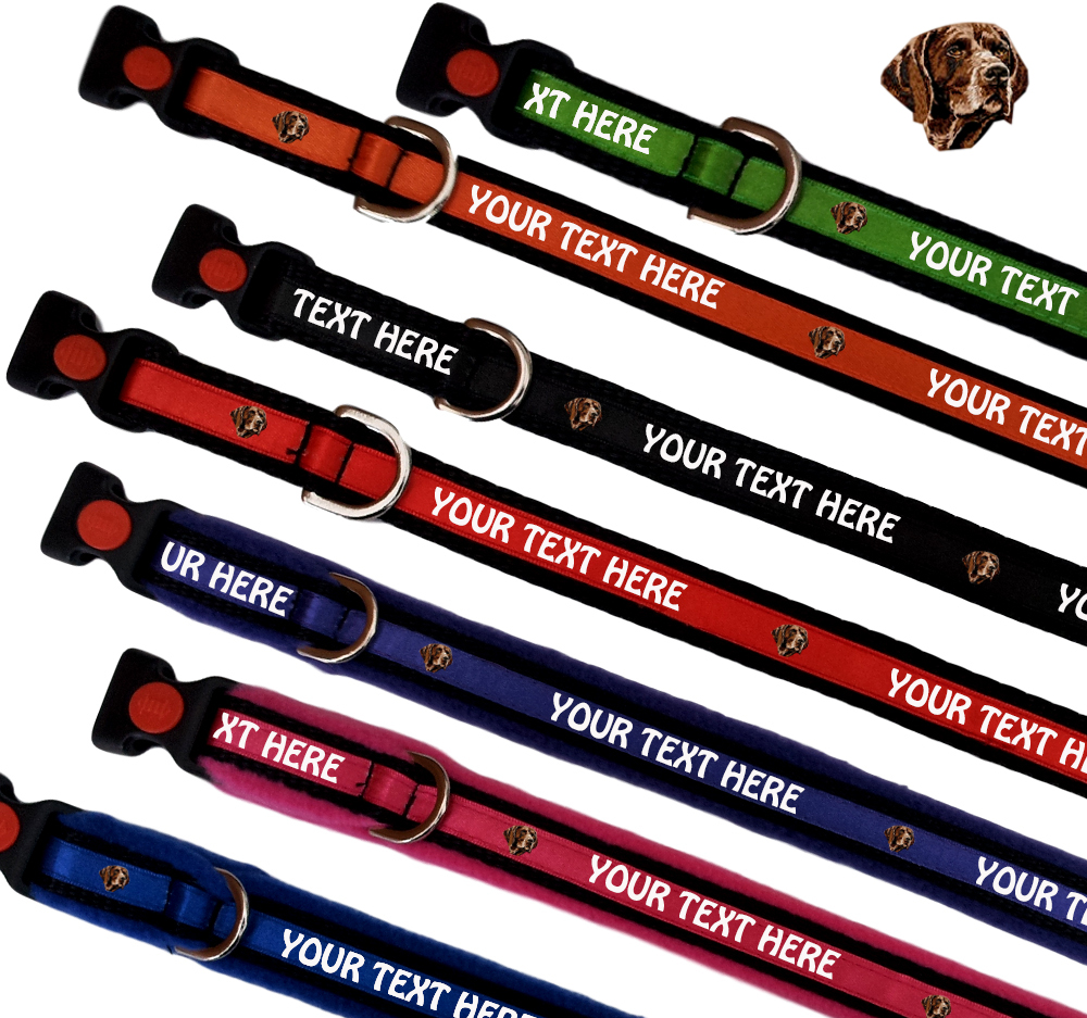German Shorthaired Pointer Personalised Dog Collars