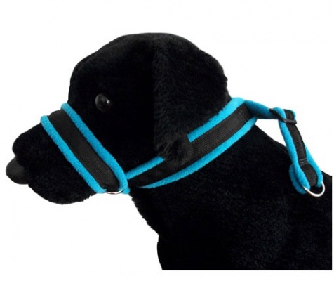 Fleece Lined Dog Head Collars - Sale