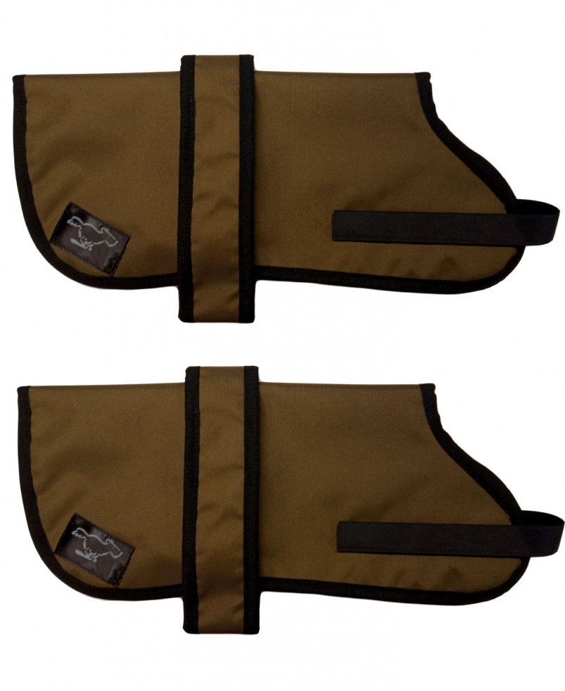 Affenpinscher Personalised Waterproof Dog Coats | Khaki