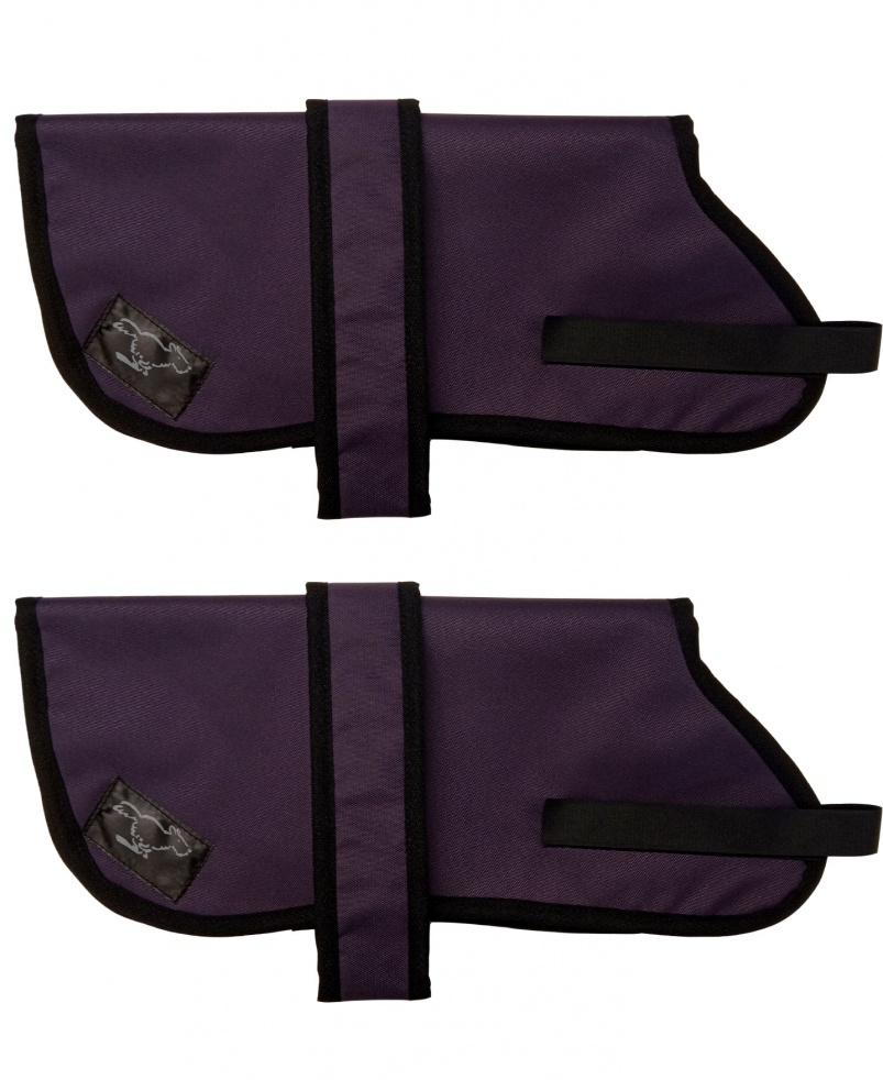 Affenpinscher Personalised Waterproof Dog Coats | Deep Purple