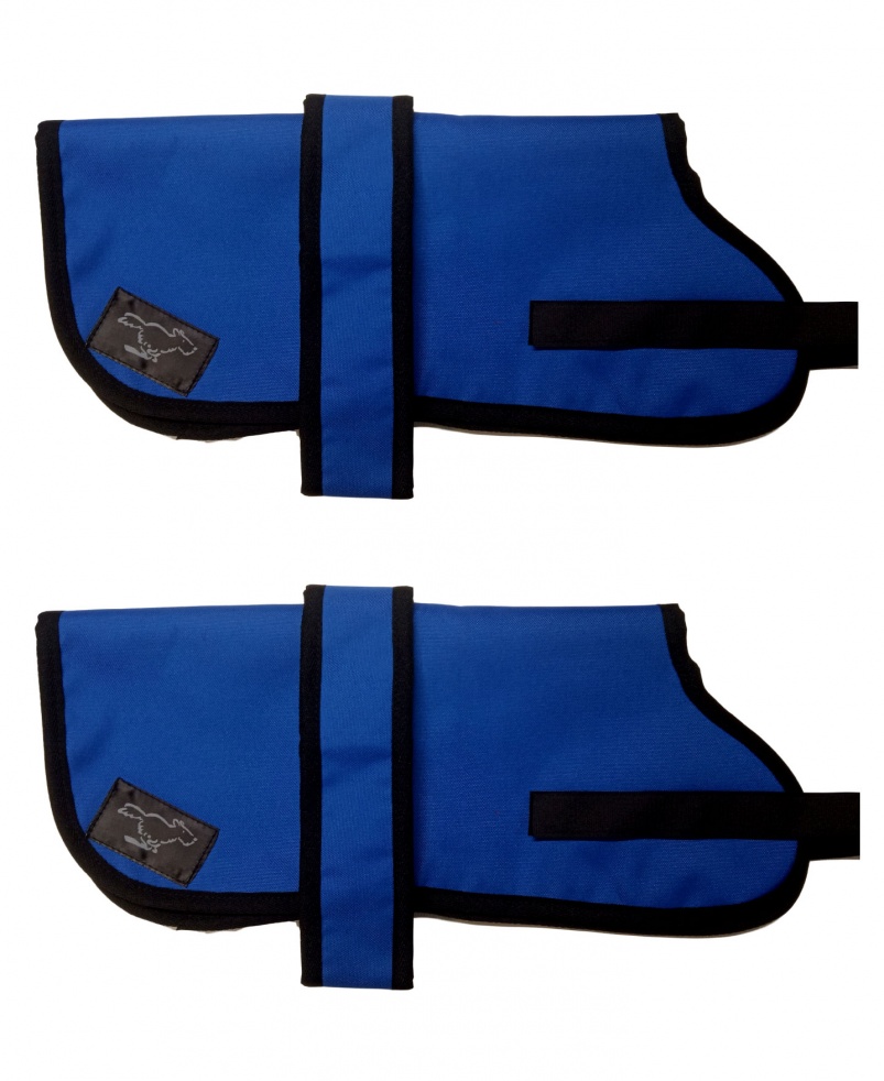 Cavalier King Charles Spaniel Personalised Waterproof Dog Coats | Royal Blue