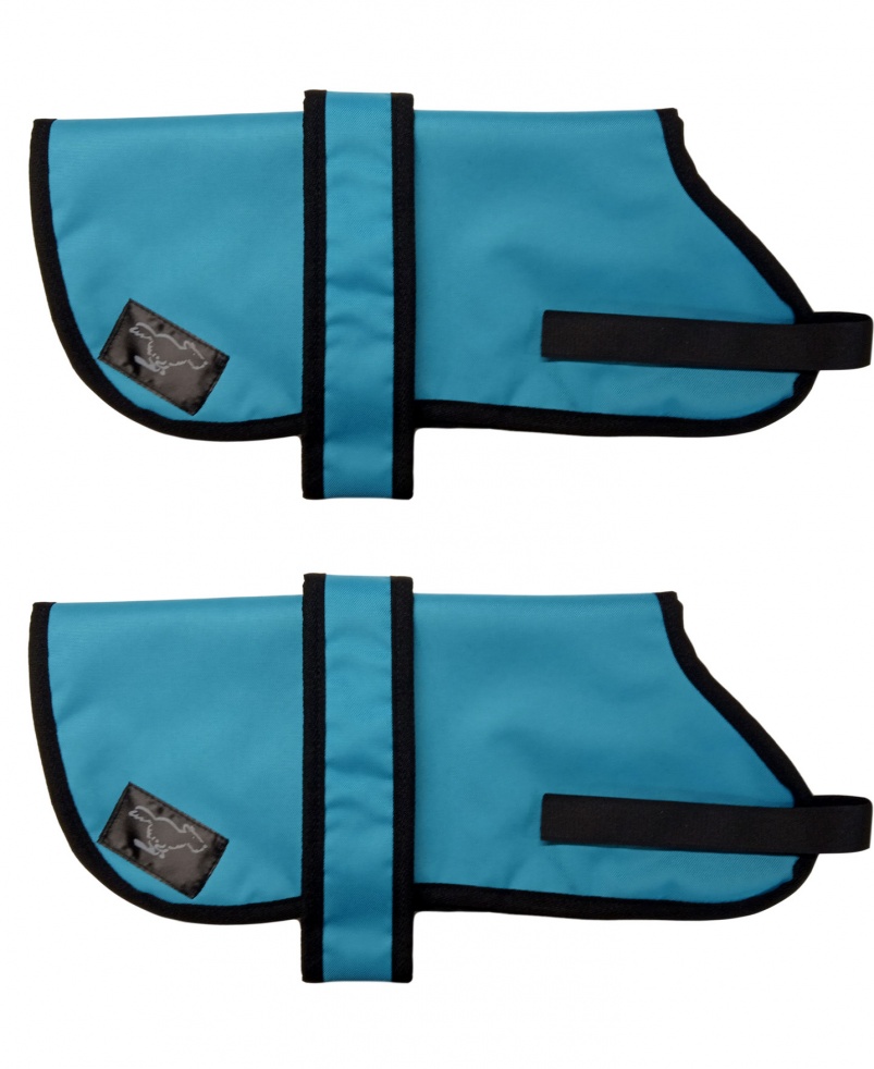 Airedale Terrier Personalised Waterproof Dog Coats | Turquoise